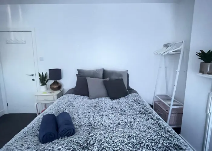 Artsy Minimalist Suite